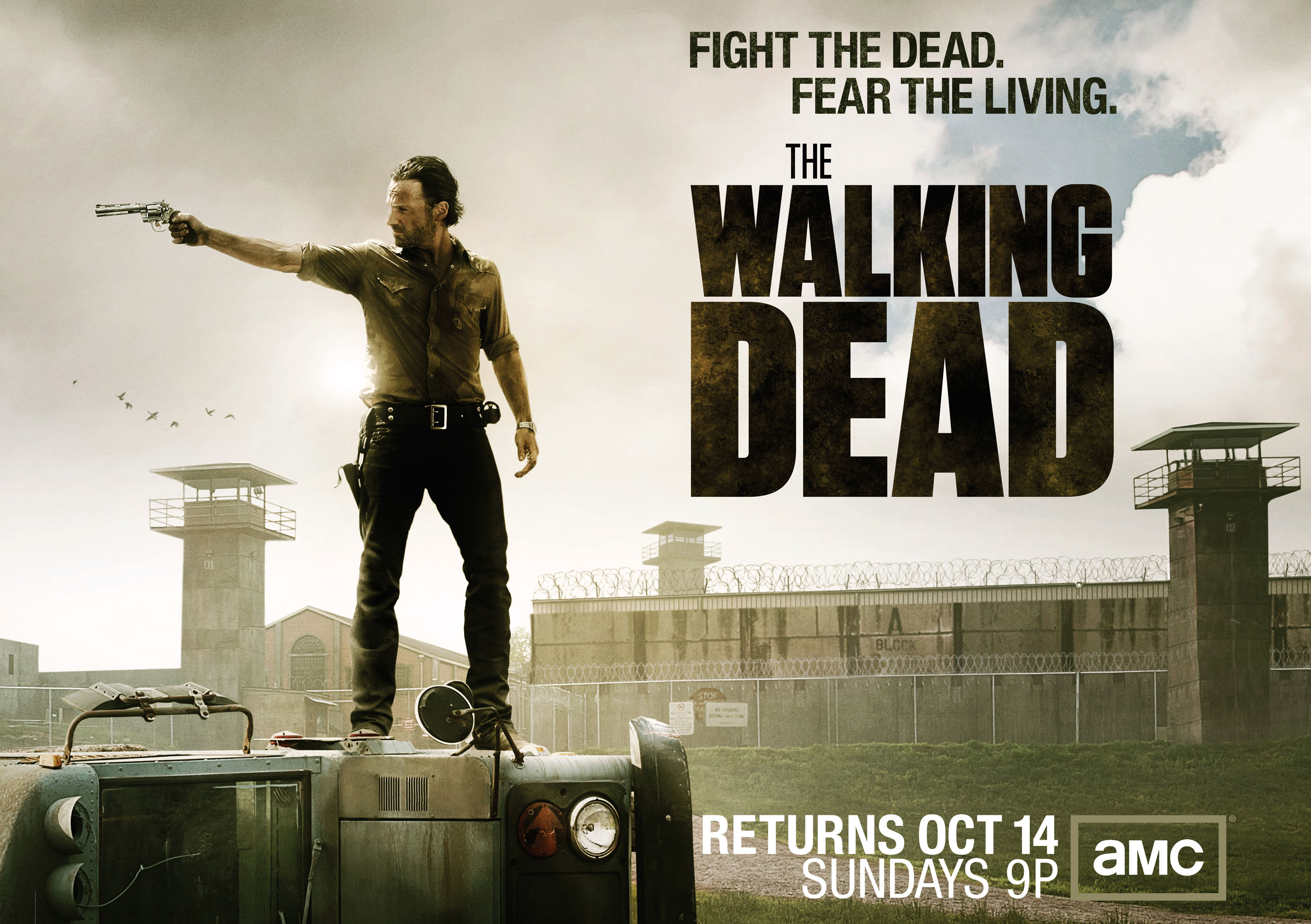 The Walking Dead Download #3